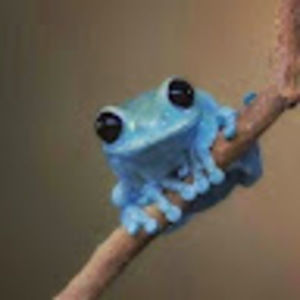 Meet your Posher, William